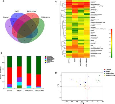 A Novel Cecropin-LL37 Hybrid Peptide Protects Mice Against EHEC Infection-Mediated Changes in Gut Microbiota, Intestinal Inflammation, and Impairment of Mucosal Barrier Functions